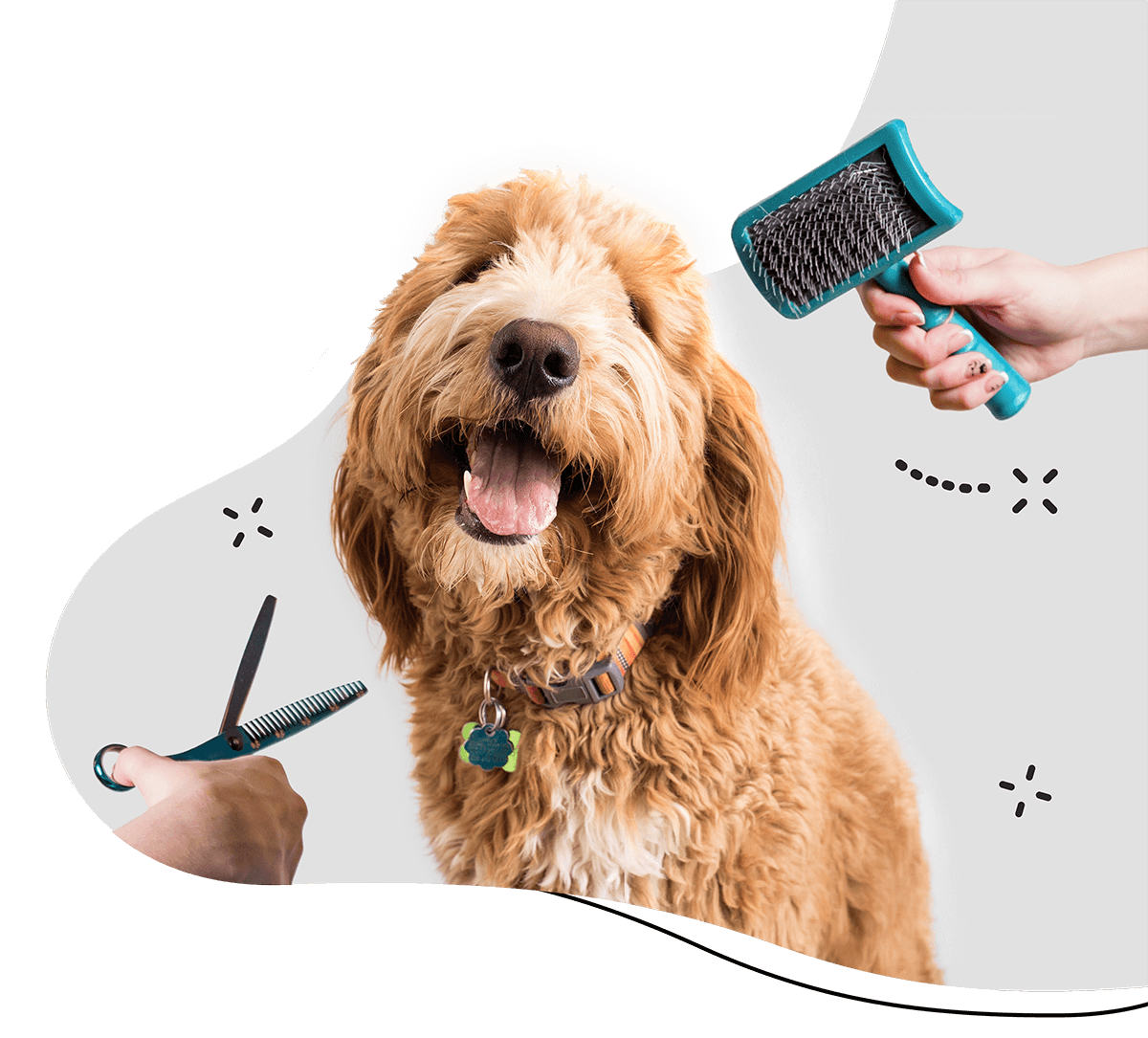 https://www.bonchien.dev/wp-content/uploads/2019/08/hero_home_3.png