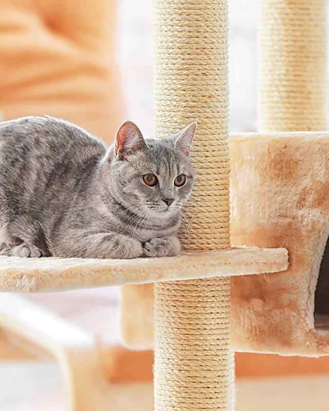 https://www.bonchien.dev/wp-content/uploads/2019/08/inner_image_01-640x800.jpg